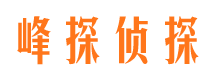 沁源市私人调查